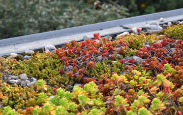 the cost of Cloyfin green roof installation