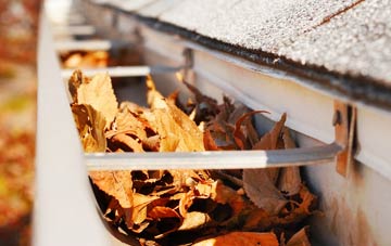 Cloyfin gutter cleaning companies