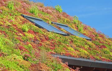 Cloyfin living roof systems