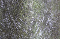 Cloyfin fibreglass roof work